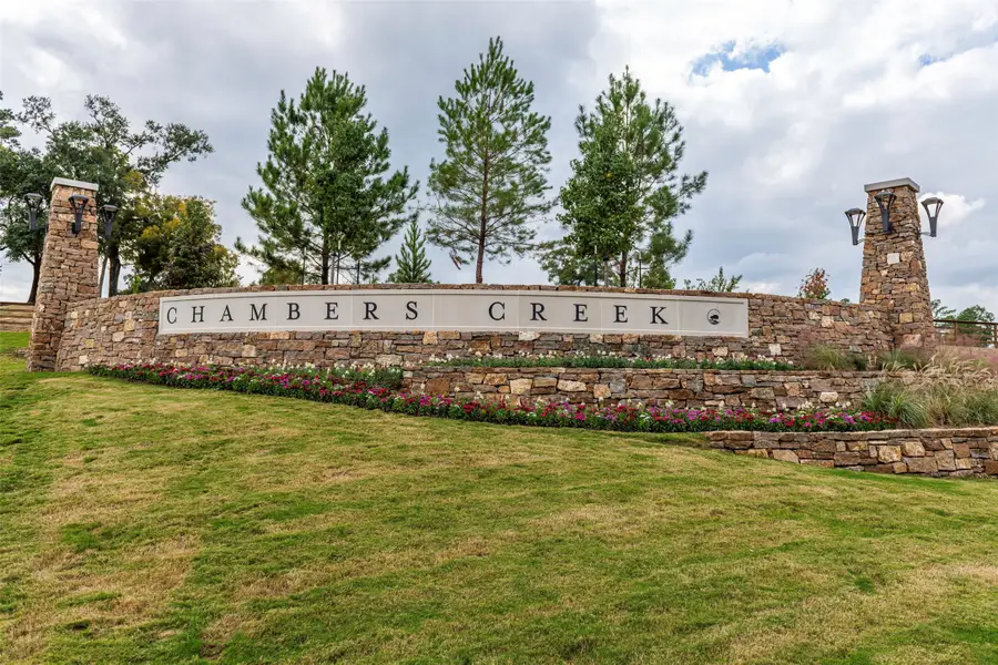 10035 Chester Rough Drive, Willis, TX 77318 - #2