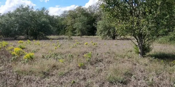 1700 Jackson Road, La Grange, TX 78945