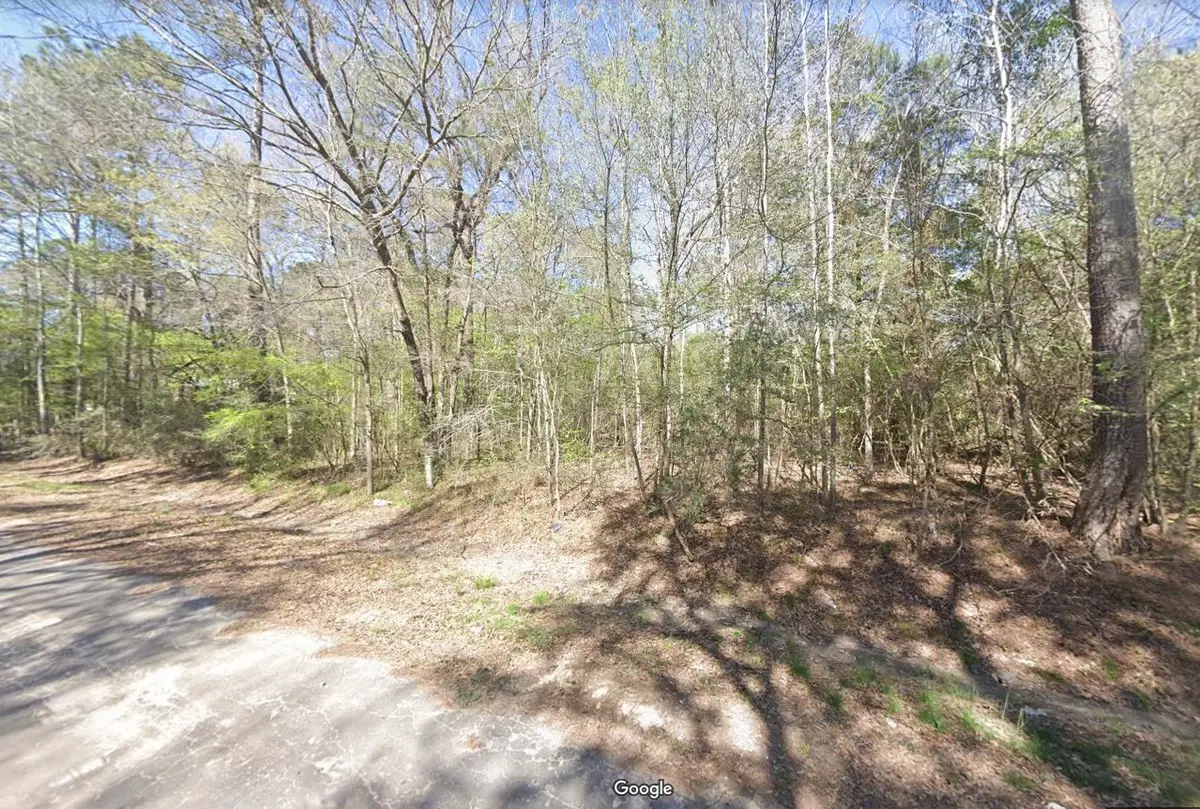 0 Hunters Trail, New Caney, TX 77357 - Image #1