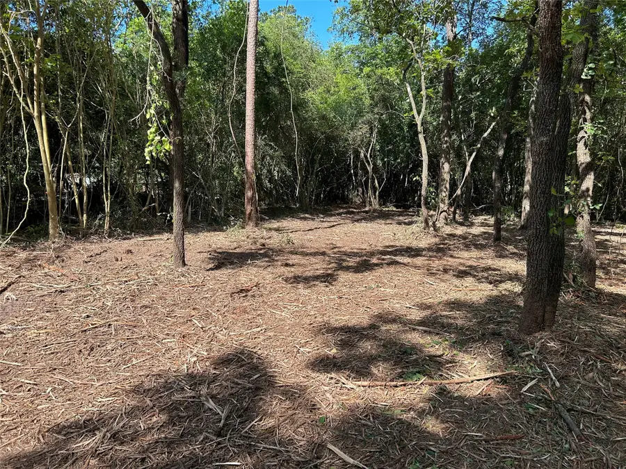 14948 Colt Lane, Willis, TX 77378 - Image #2