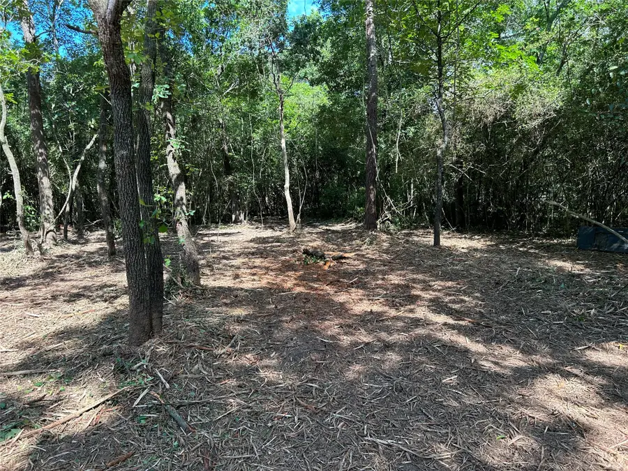 14948 Colt Lane, Willis, TX 77378 - Image #3