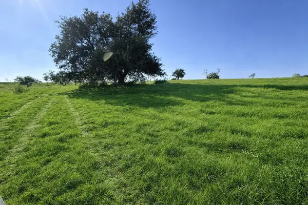 LT 3 Badger Ridge Road, Fredericksburg, TX 78624