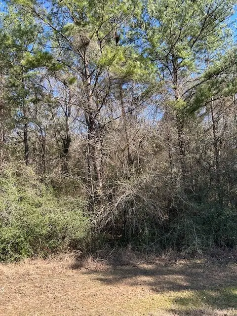 17763 Appaloosa Drive, Waller, TX 77484 - #3