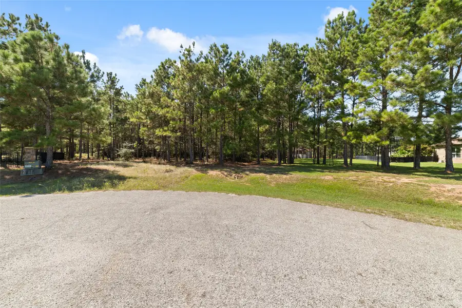 0 Ridgelake Court, Montgomery, TX 77316 - #3