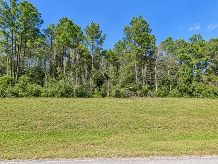11-29-29 Mountain Court, Huntsville, TX 77340 - #3