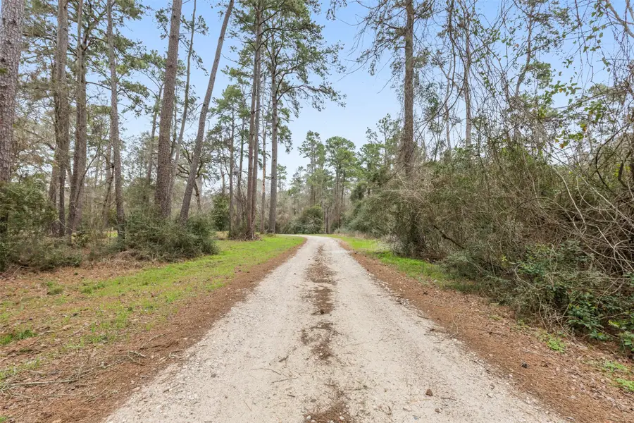 23515 Cardinal Dr, Hockley, TX 77447 - #3