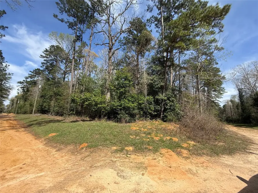 TBD Glenn Barber Road, Livingston, TX 77351 - #2