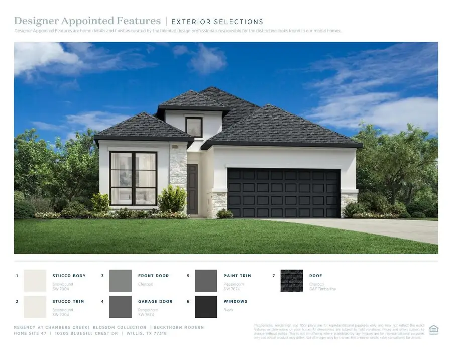 10205 Bluegill Crest Drive, Willis, TX 77318 - #2