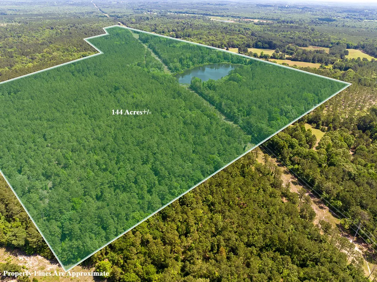 2 County Road 1115, Atlanta, TX 75551 - #1