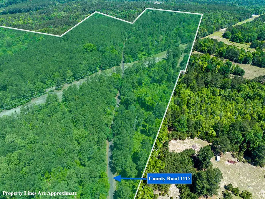 2 County Road 1115, Atlanta, TX 75551 - #2
