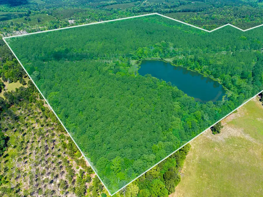 2 County Road 1115, Atlanta, TX 75551 - #3