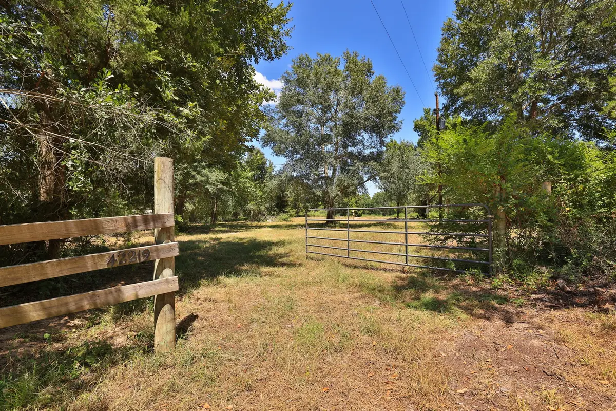 42219 Cedar Creek Road, Hempstead, TX 77445 - #1
