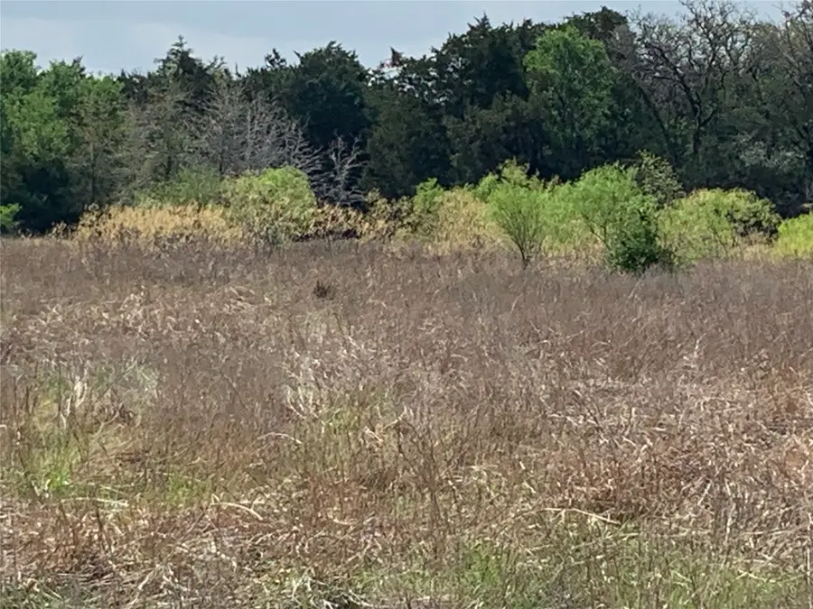 TBD Goehring Road, Ledbetter, TX 78946 - #3