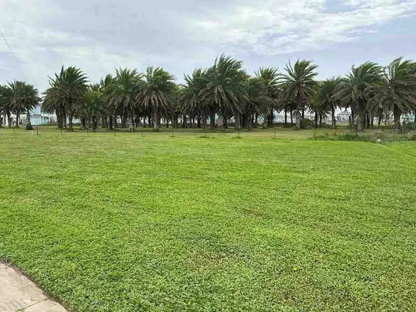 2366 Sand Bar Ln Lane, Crystal Beach, TX 77650 - #1