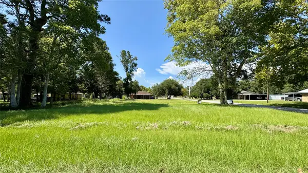 304 Bobcat Lane, Daisetta, TX 77533