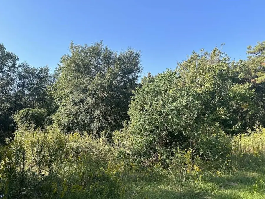 785 Young Street, Bridge City, TX 77611 - Image #3