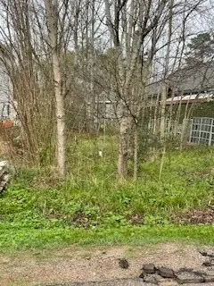 11445 Underwood Street, Willis, TX 77318