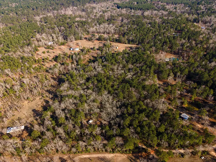 462 County Road 1172, Kennard, TX 75847 - #2