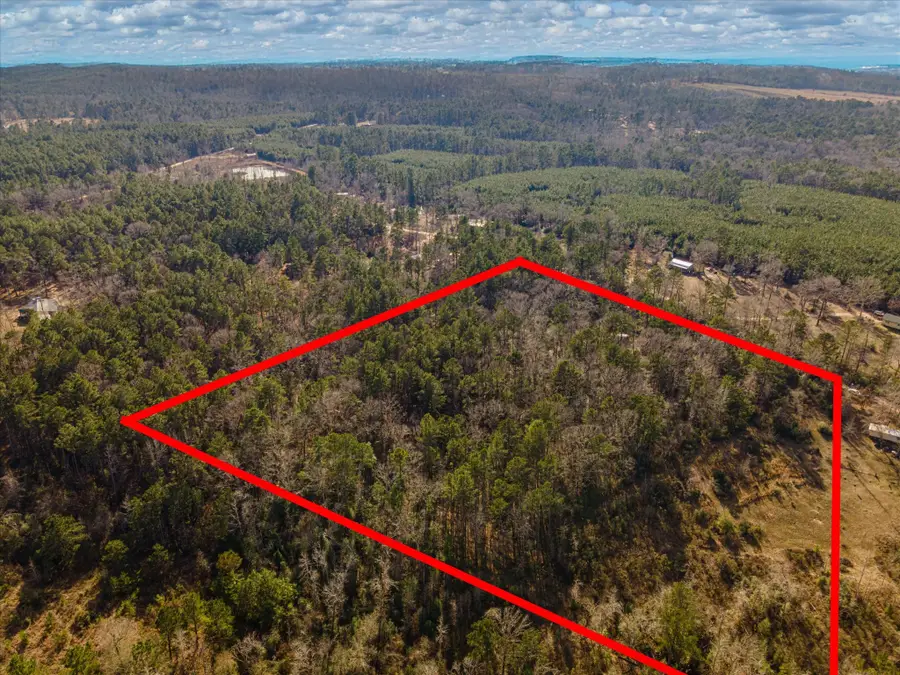 462 County Road 1172, Kennard, TX 75847 - #3