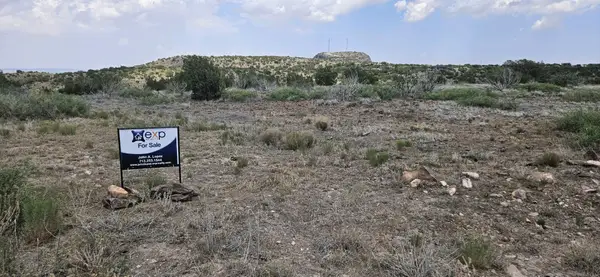 0 Dark Sky Ln, Alpine, TX 79832