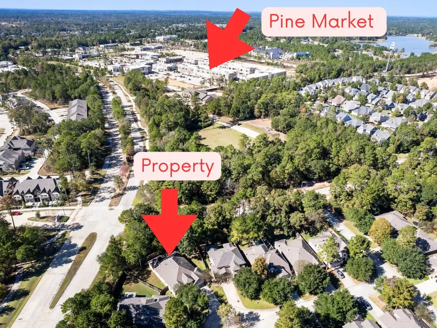 118 Forest Elk Place, Montgomery, TX 77316 - Image #3