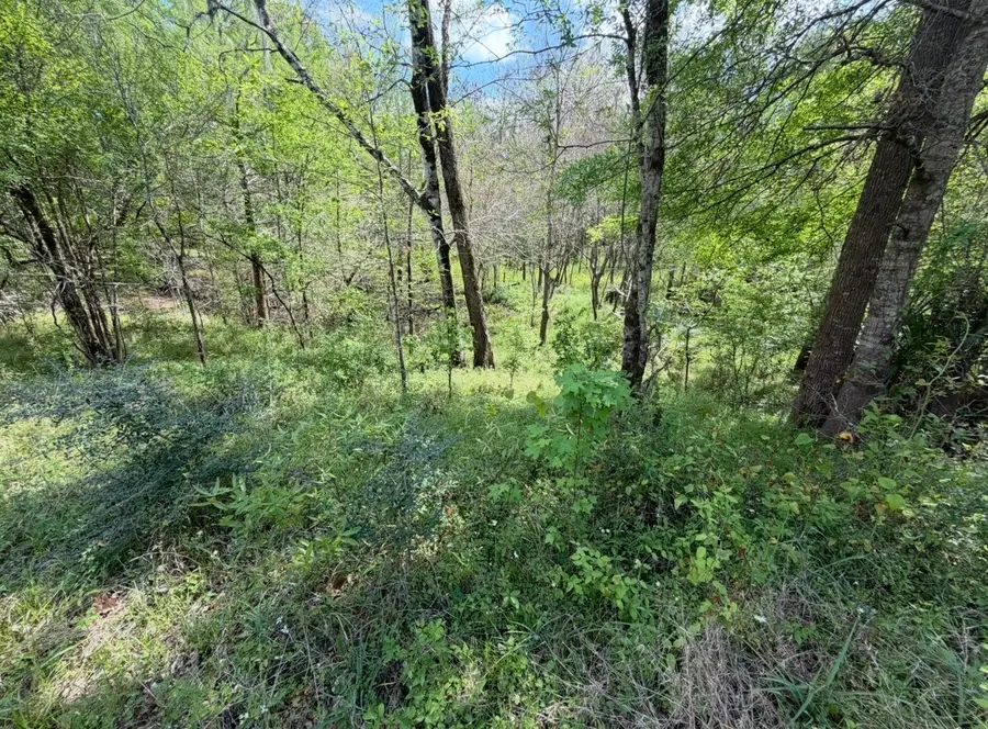 7571 County Road 2252, Cleveland, TX 77327 - #3