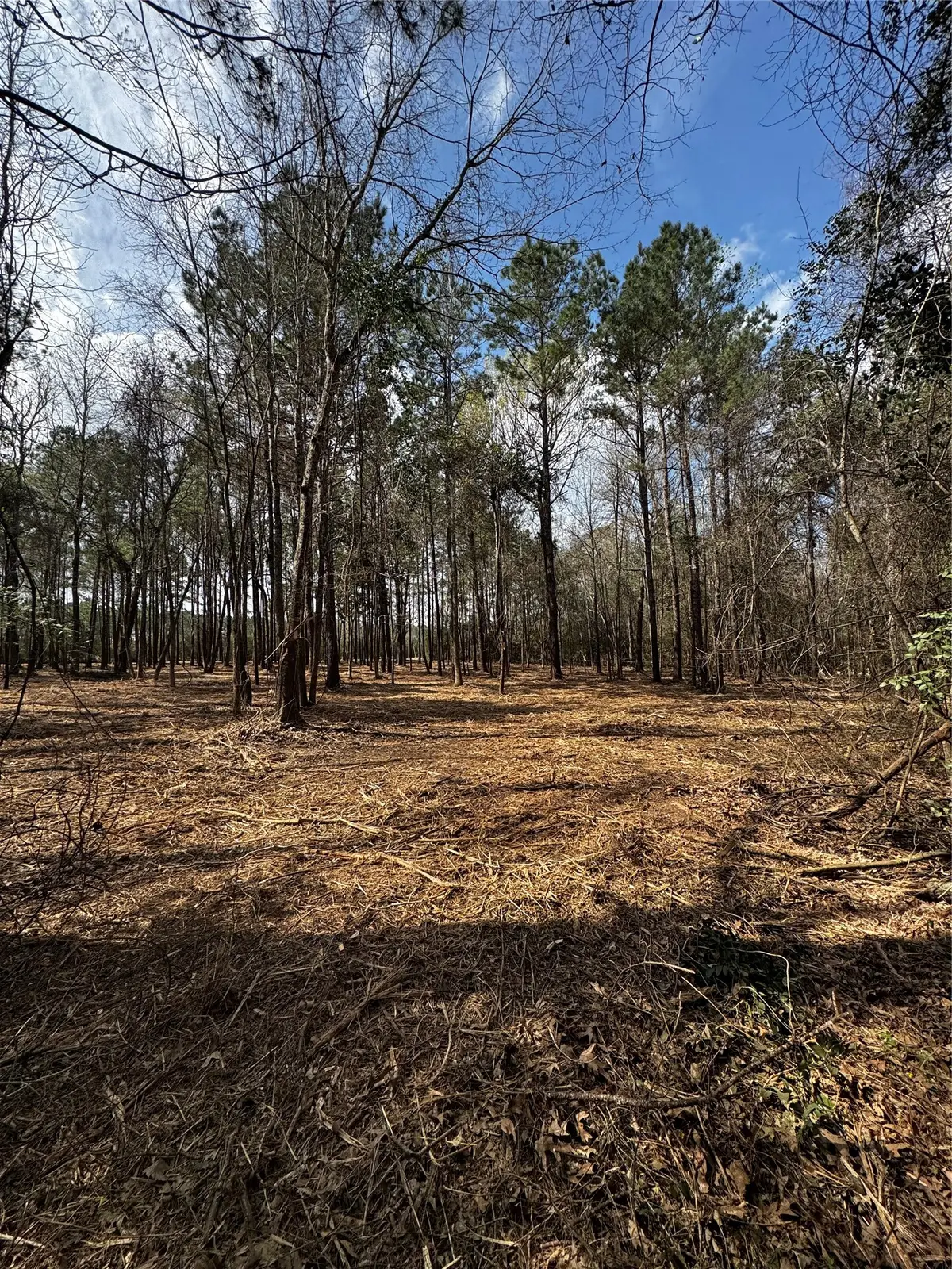 TBD Old Israel, Livingston, TX 77351 - #1