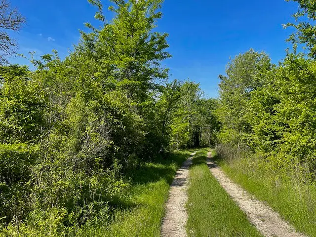 8763 Fm 356, Trinity, TX 75862 - #1