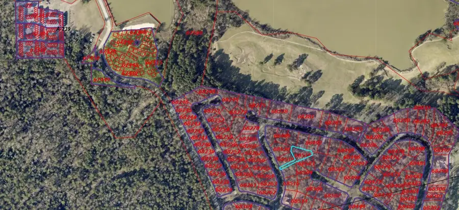 24404 Muirfield, Huntsville, TX 77320 - #2