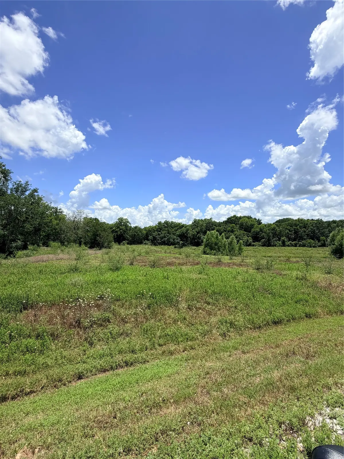 Lot 36 Winding Branch, Chappell Hill, TX 77426 - #1