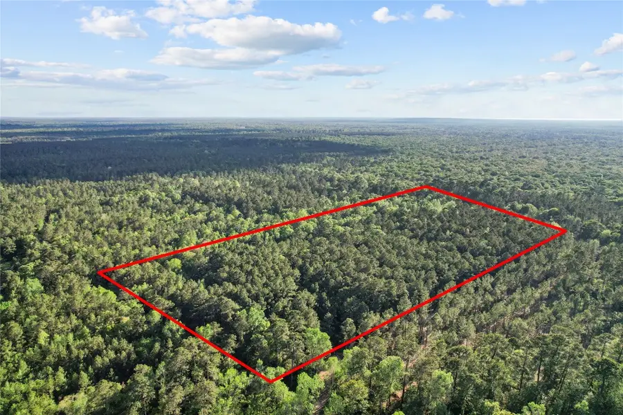 0 County Road 2116, Cleveland, TX 77327 - #2