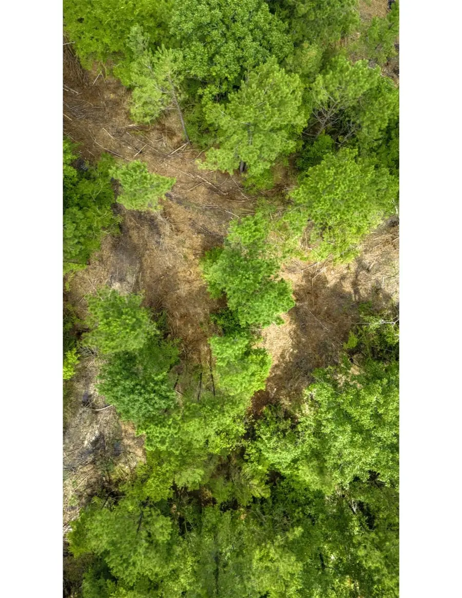 TBD Lot 002 Holland Road, Moscow, TX 75960 - Image #2