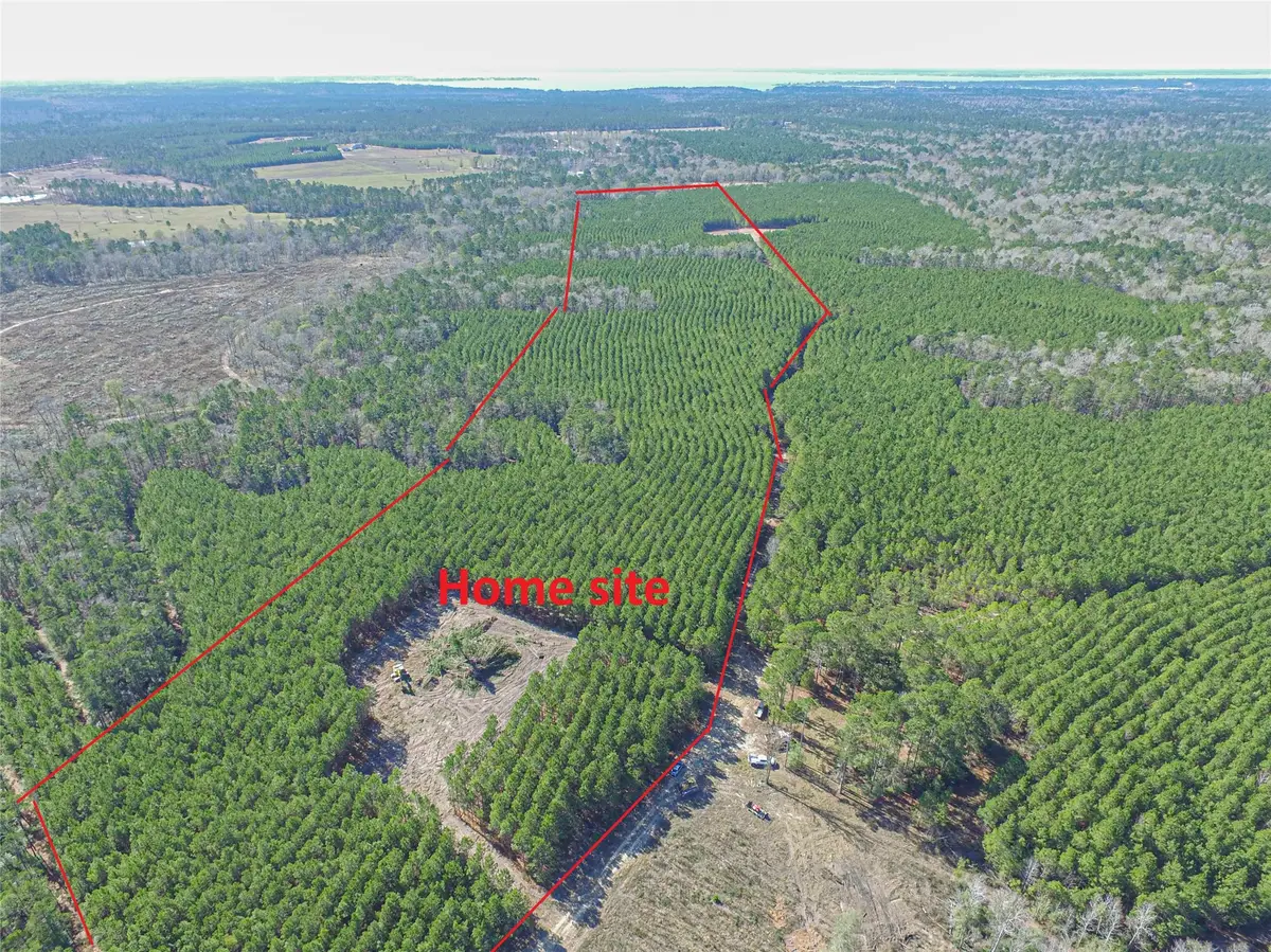 3103 Sandydale Lane, Livingston, TX 77351 - #1