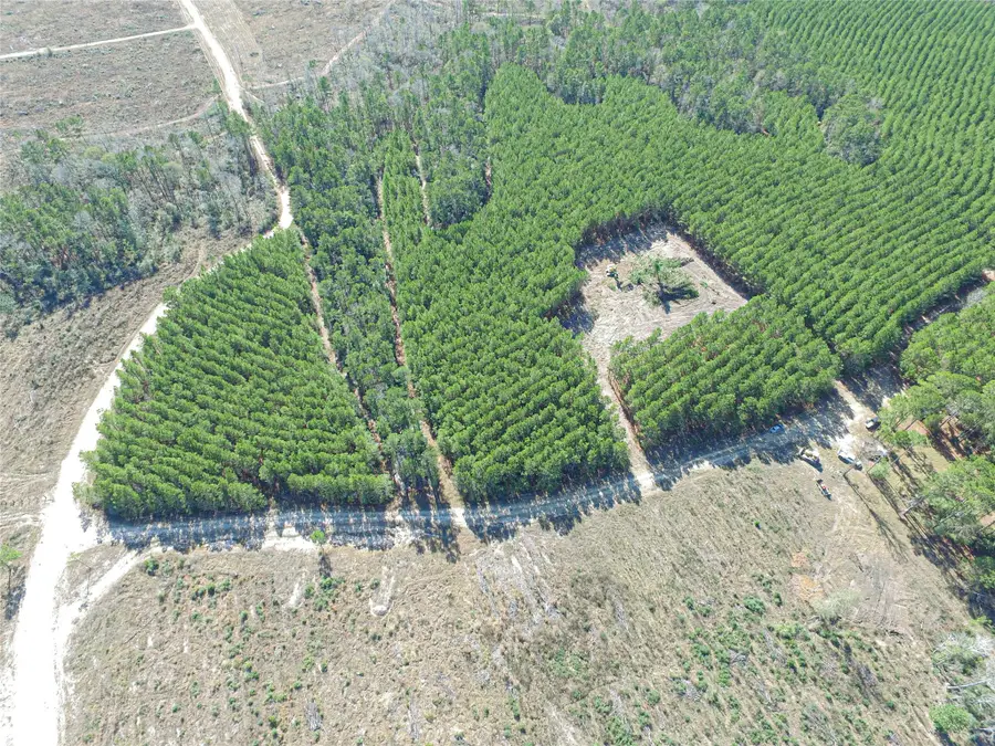 3103 Sandydale Lane, Livingston, TX 77351 - #3