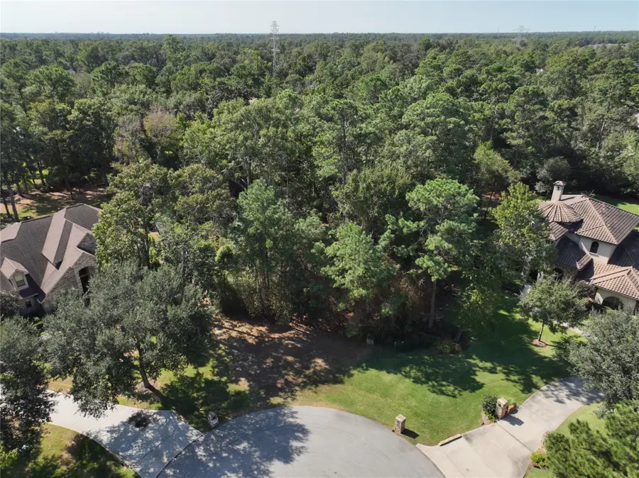 4242 Starling Stream Drive, Spring, TX 77386 - Image #2