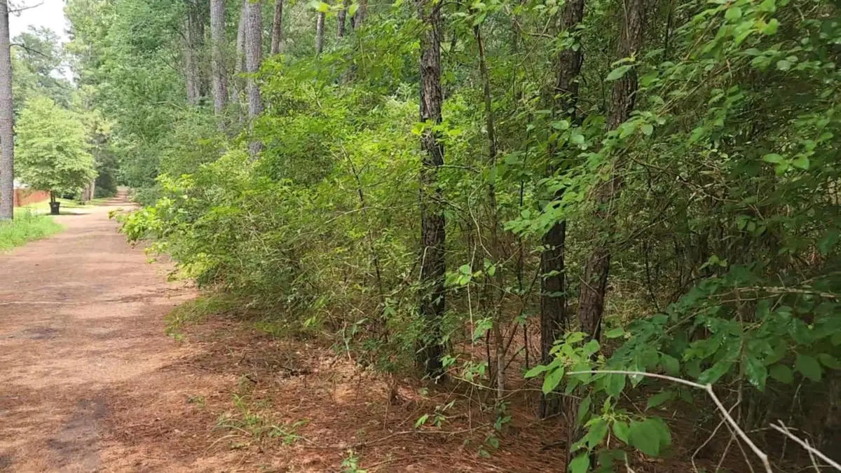 Lot 5 Cherry Tree Lane, Plantersville, TX 77363 - Image #1