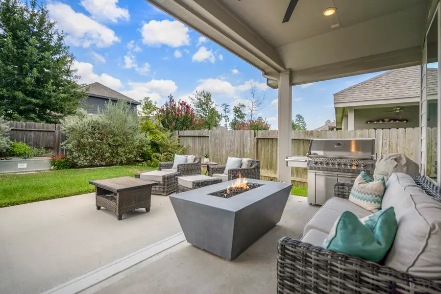 541 Cedar Harbor Court, Conroe, TX 77304 - #2