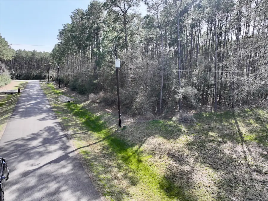 17424 Woodforest Dr, Waller, TX 77484 - Image #3