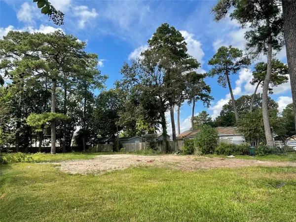 1321 Caywood Lane, Houston, TX 77055