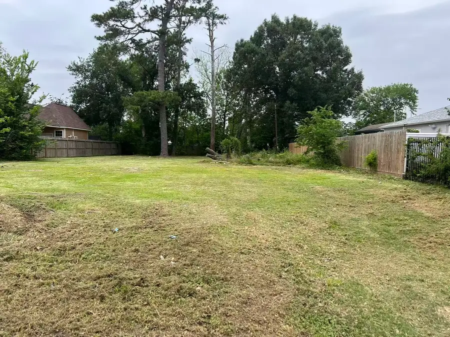 1321 Caywood Lane, Houston, TX 77055 - #2