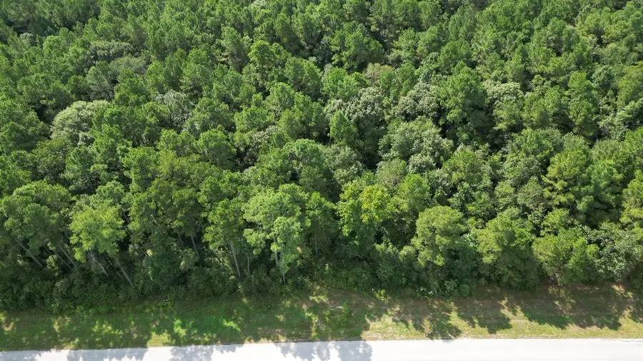 5-27-3 Feldspar Lane, Huntsville, TX 77340 - Image #2