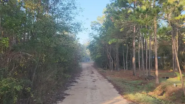 Lot 7 Sweetleaf Lane, Plantersville, TX 77363