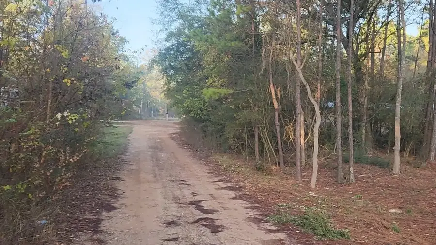Lot 7 Sweetleaf Lane, Plantersville, TX 77363 - Image #3