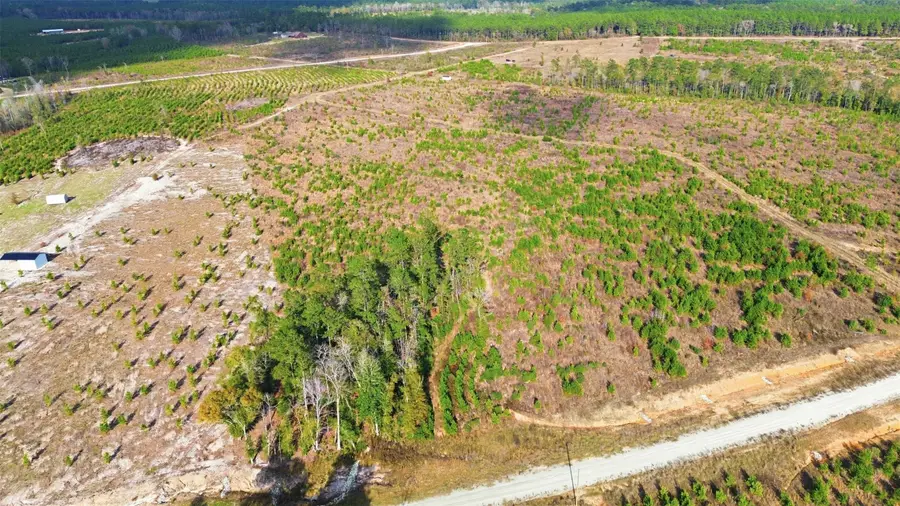 TBD Lady Luck Parcel Id 246461 Road, Livingston, TX 77351 - Image #2