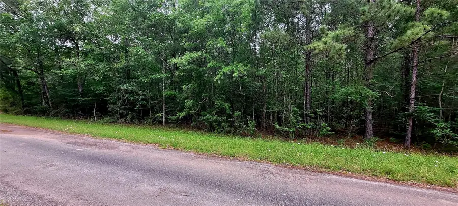 TBD Cr 349, Cleveland, TX 77327 - Image #2