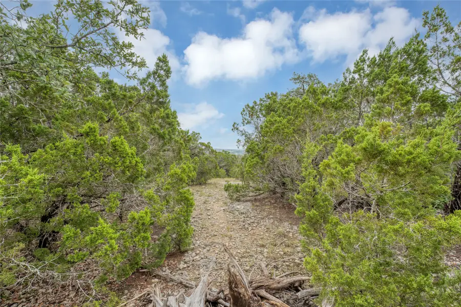 120 Patriotic Drive, Fischer, TX 78623 - Image #2