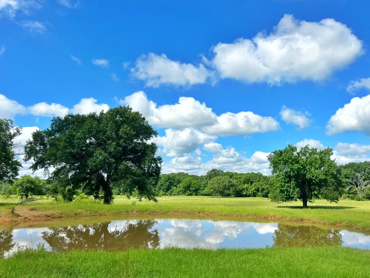 78 ac Cr 1080, Fairfield, TX 75840 - #1
