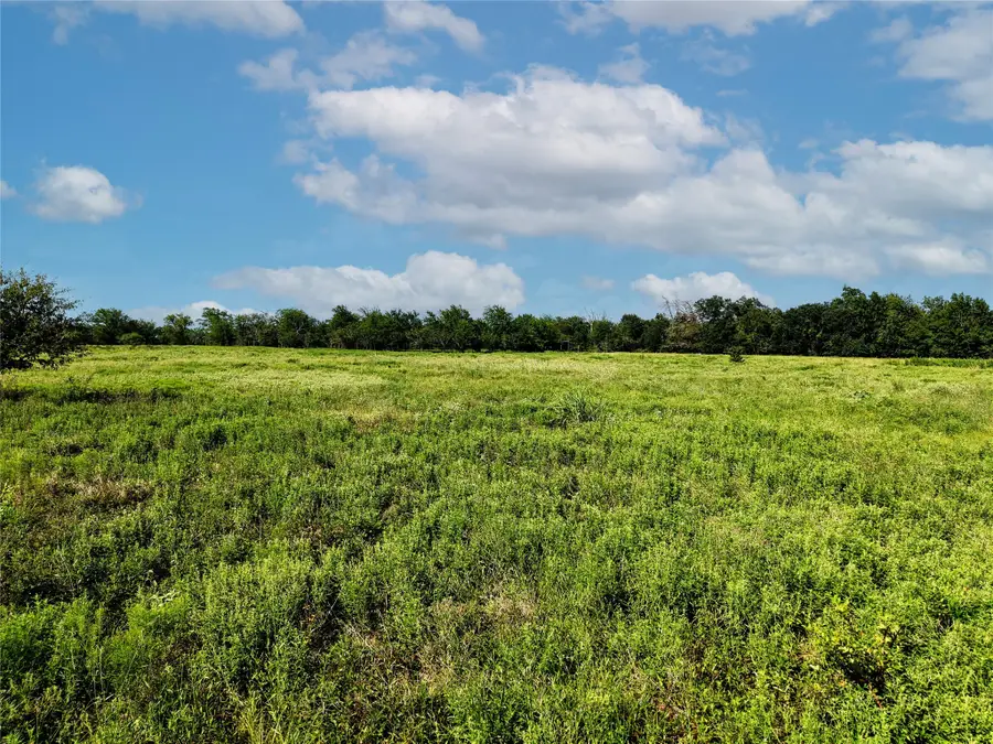 5784 County Road 123, Anderson Bedias, TX 77831 - Image #3