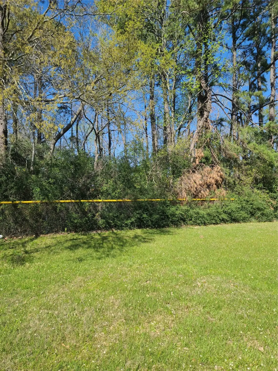 FM 1960 Business, Houston, TX 77338 - Image #1