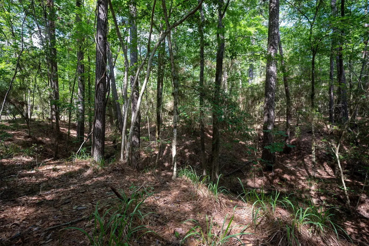 tbd County Road 3610 E, Woodville, TX 75979 - Image #1